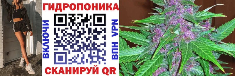 Бошки Шишки Хилок
