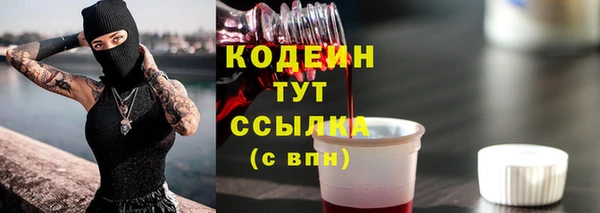 сатива Верея