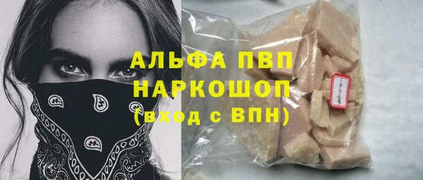 сатива Верея